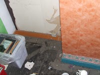 wallpaper stripping 583863 Image 0